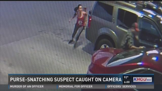 Purse Snatching Suspect Caught On Camera