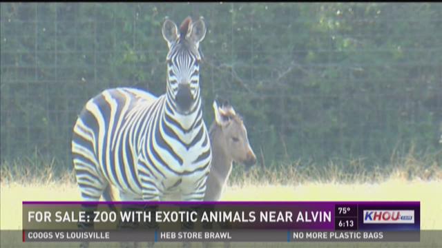 For Sale Zoo with exotic animals near Alvin