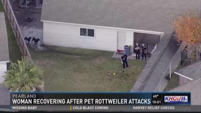 Woman injured after being attacked by three dogs in Pearland | khou.com